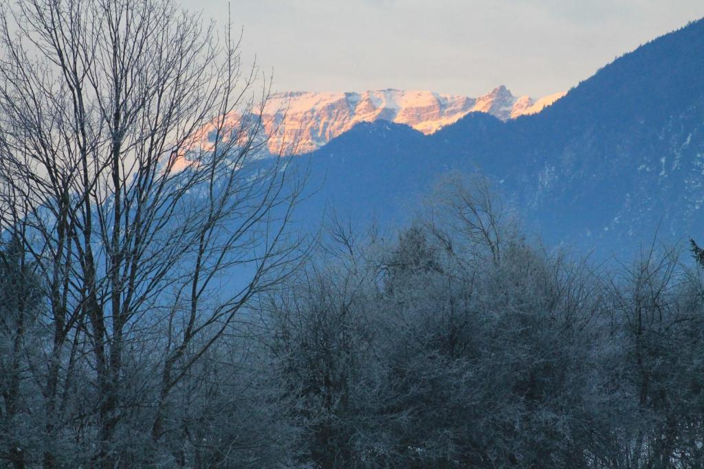 Hotel Kraftquelle Schlossblick Angerberg  エクステリア 写真