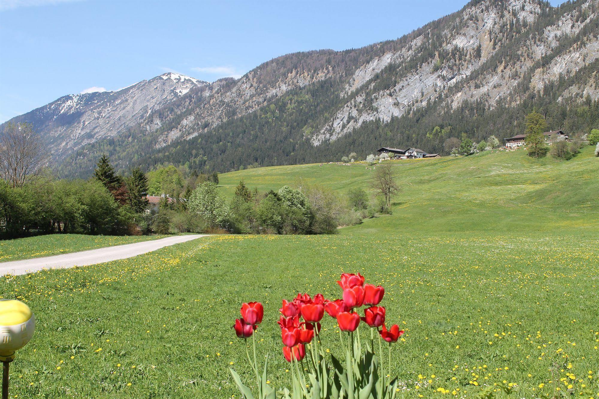 Hotel Kraftquelle Schlossblick Angerberg  エクステリア 写真